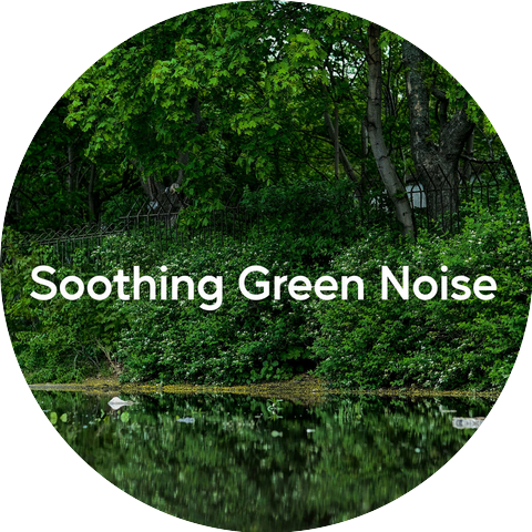 Sleep, Study, Focus, Nature Vibrations, Nature & Rainforest Sounds Collective