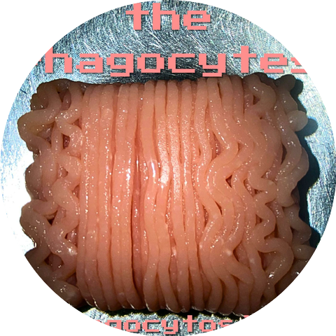 The Phagocytes