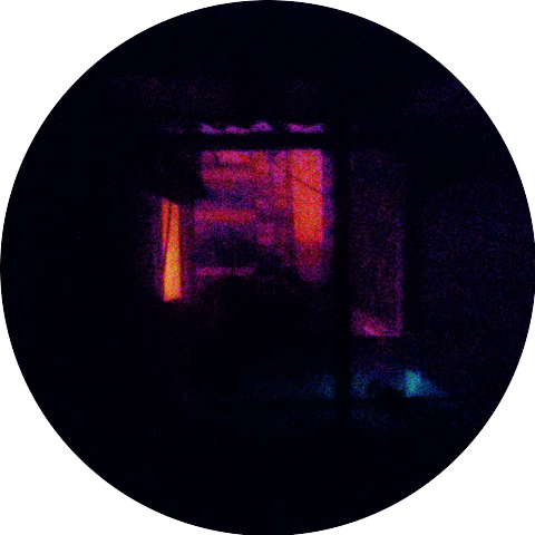 Nadando En Círculos