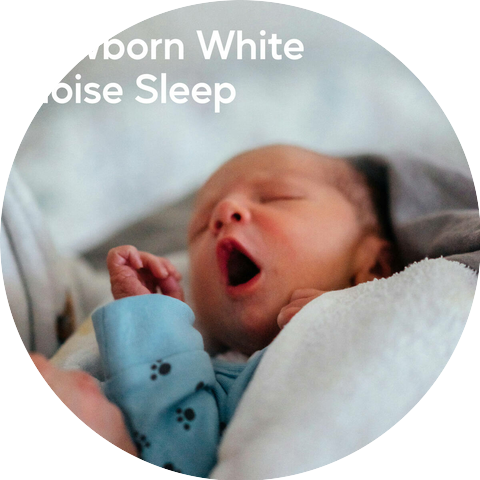 White Noise Sound Garden, White Noise Rain, White Noise Sleep Therapy