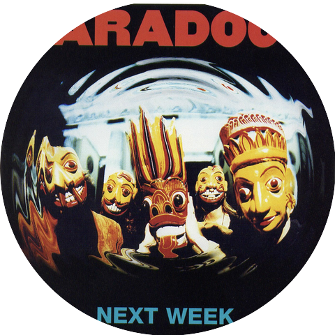 The Paradocs