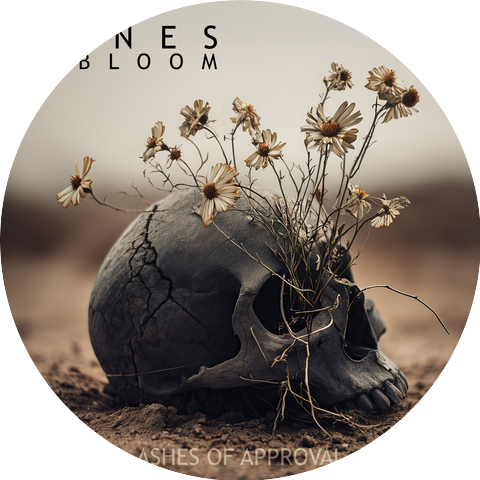 Ashes of Approval
