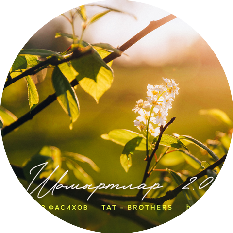 Раяз Фасихов, Tat - Brothers, husikk