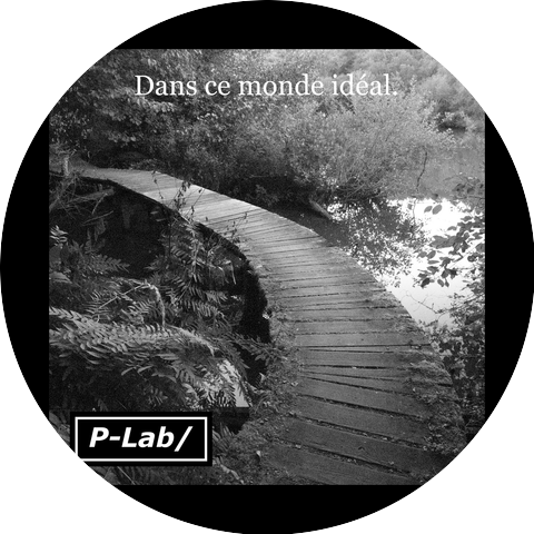 P-Lab