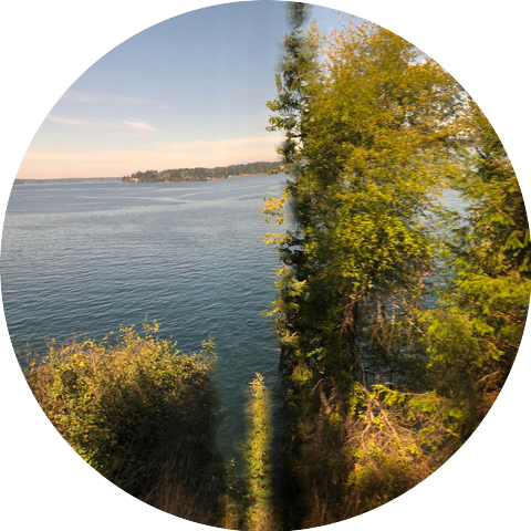 Unconditional Positive Regard