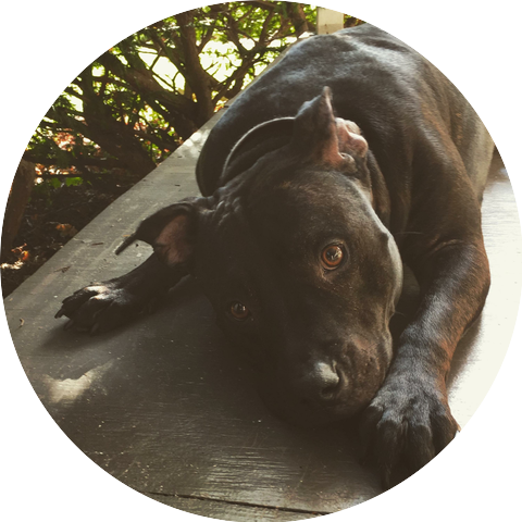 Captain Emmitt Reiber