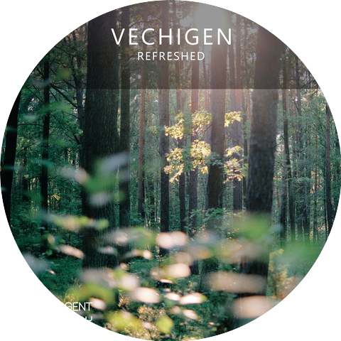 Vechigen