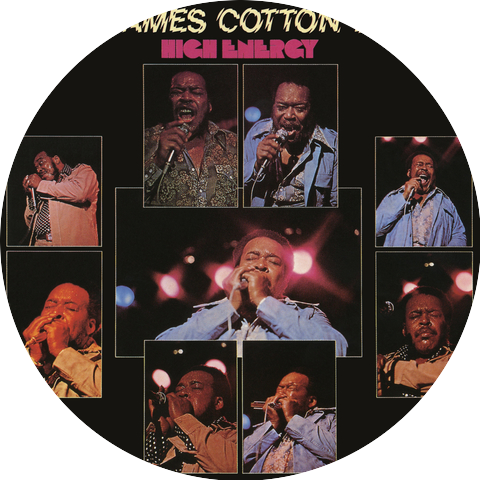 The James Cotton Band