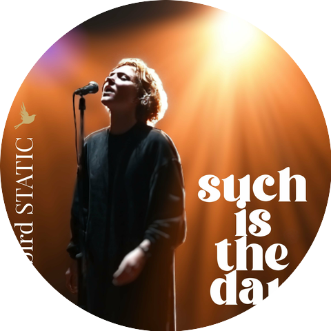 Blackbird Static