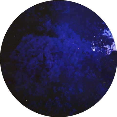 to eat flowers and not be afraid