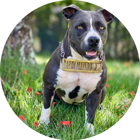 Bobby Charpenter's Chrome Sabotage