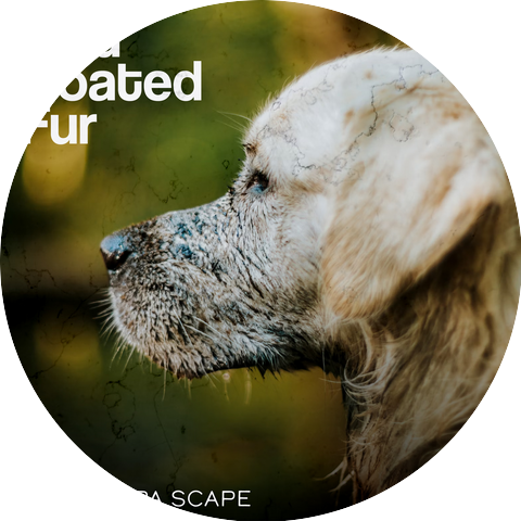 Canine Spa Scape