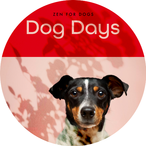 Zen for Dogs