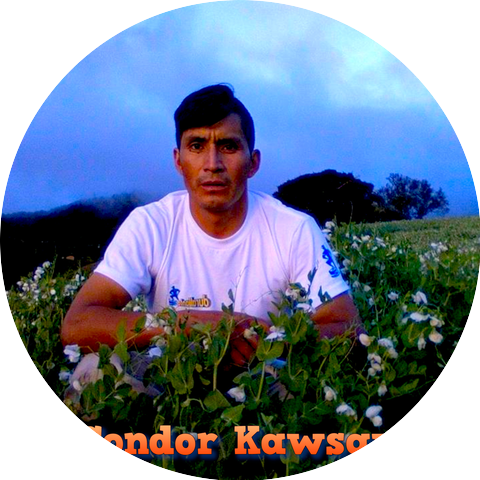 Condor Kawsay