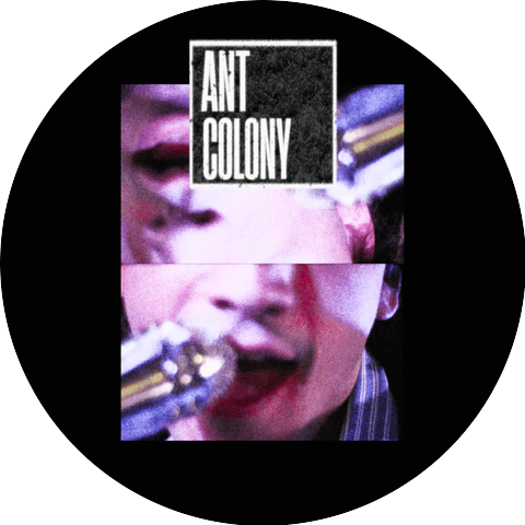 Ant Colony