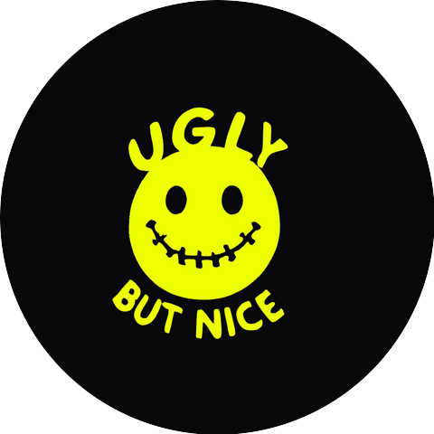 UGLY BUT NICE