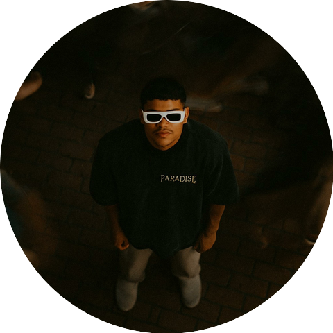 Davinccy