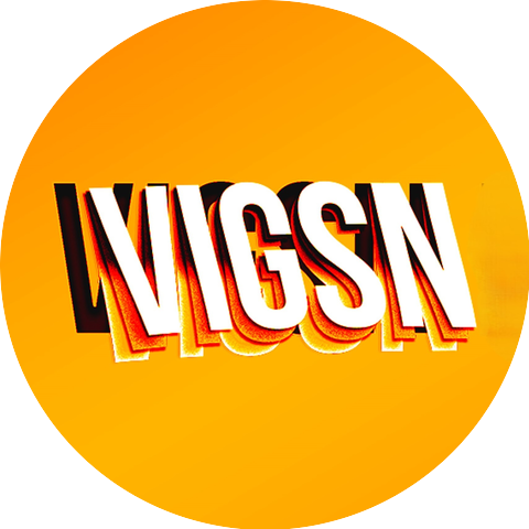 ViGSN