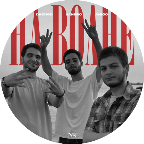 DronGo, SANDRO, AmiGo