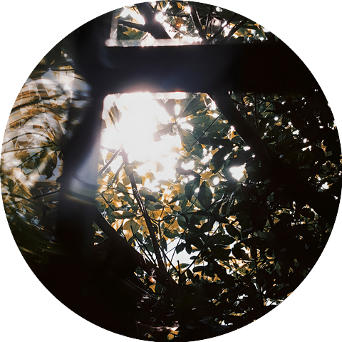 leafscope