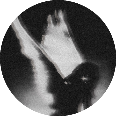 NøctiSeraph