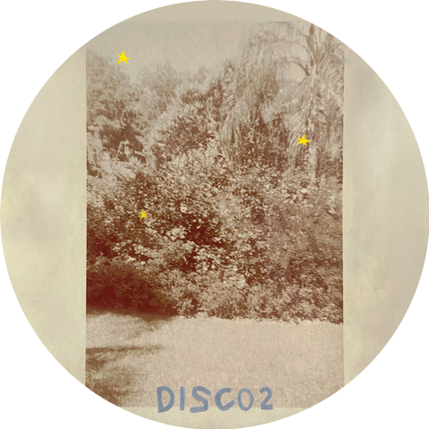 Disco 2