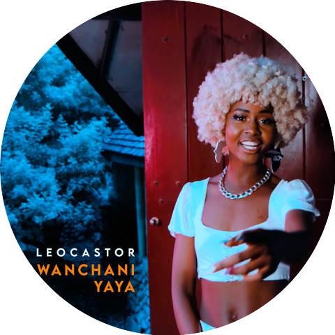 Leocastor