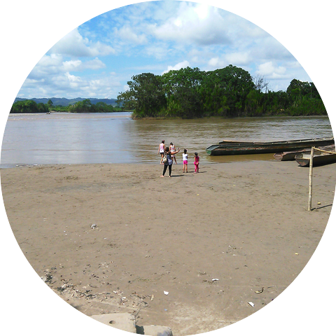Alma de mi selva