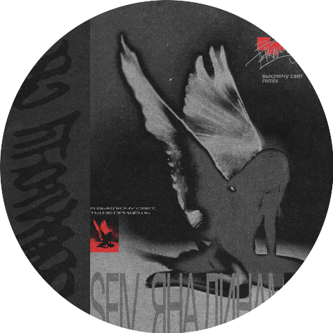 Яна Динамика, SEIV