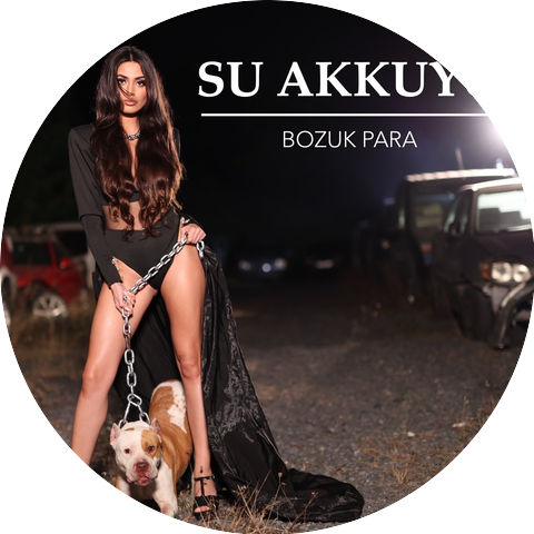 Su Akkuyu
