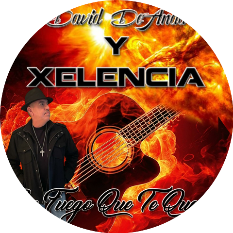 David de Anda y Xelencia