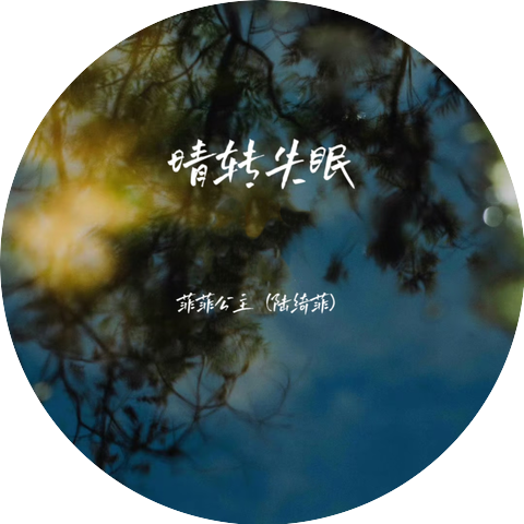 菲菲公主（陆绮菲）