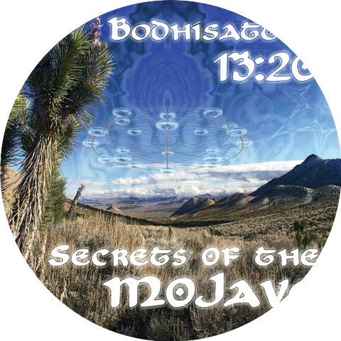 Bodhisattva 13:20