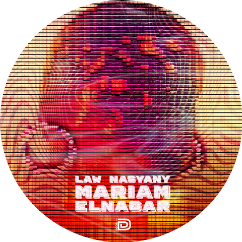 Mariam Elnagar
