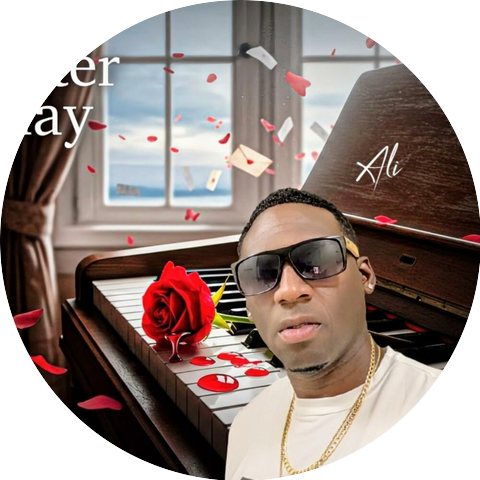 336ALI