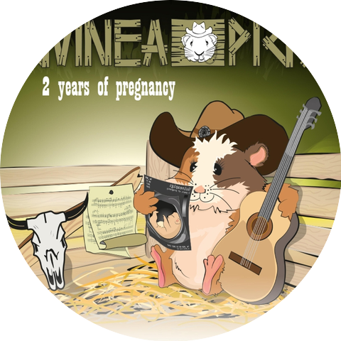 Guinea Pigs