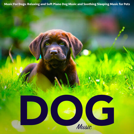 calming radio station for dogs