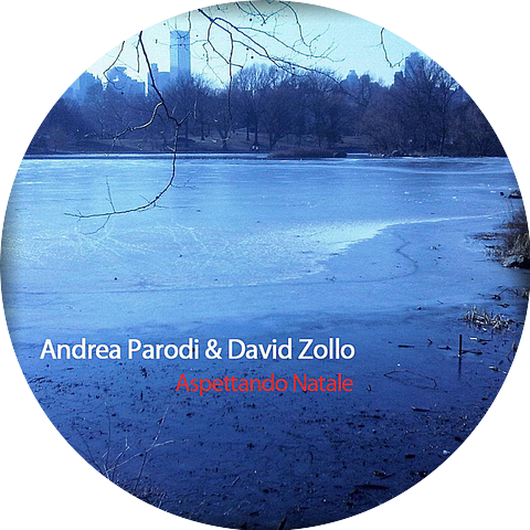 Andrea Parodi & David Zollo