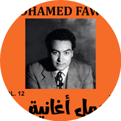 Mohamed Fawzi