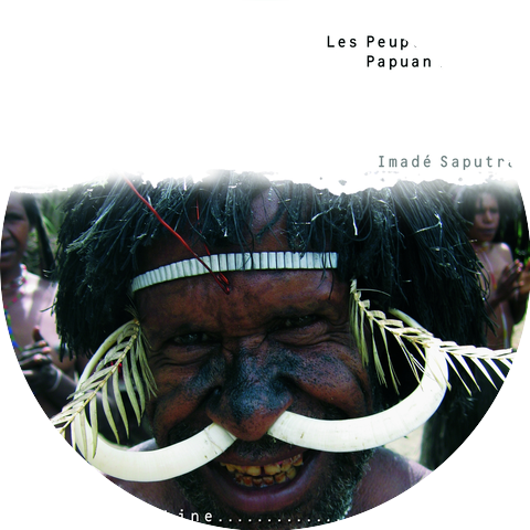 Imade Saputra