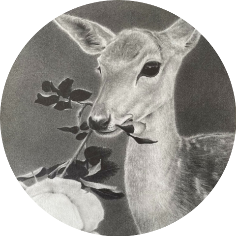 Silo, Steven Cranberry