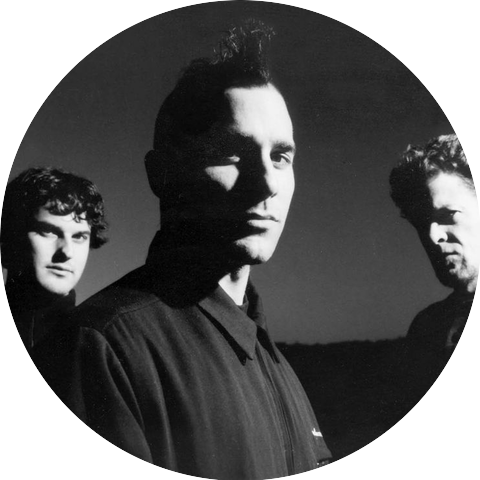 EchoBrain
