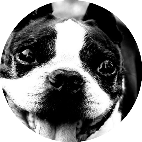 Good Morning Beautiful