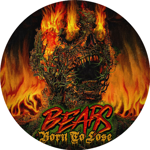 Bears