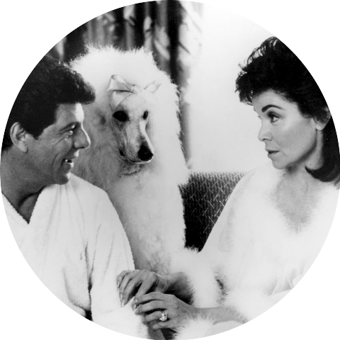Annette Funicello