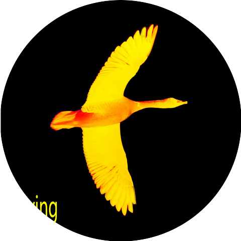 Euphonic