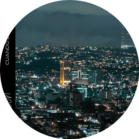 Kamaleon