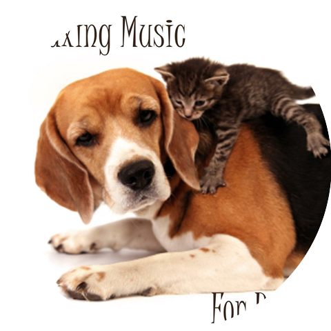 Relaxing Music For Pets