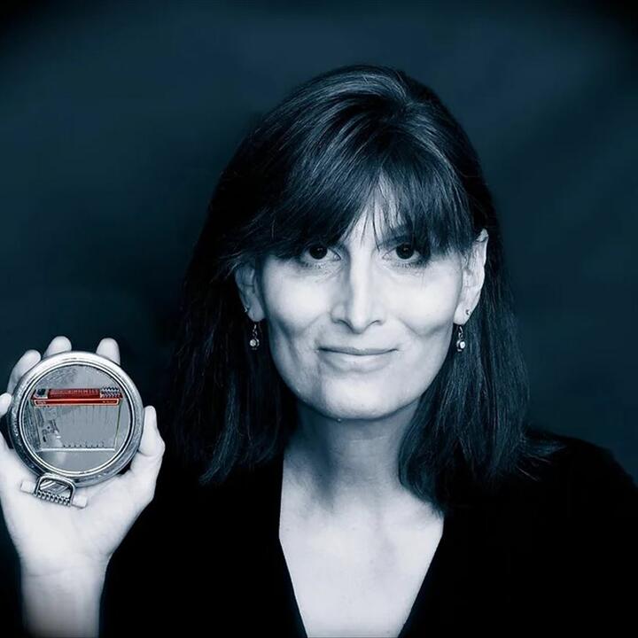 Susan Alcorn