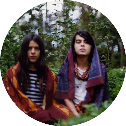 The Holydrug Couple
